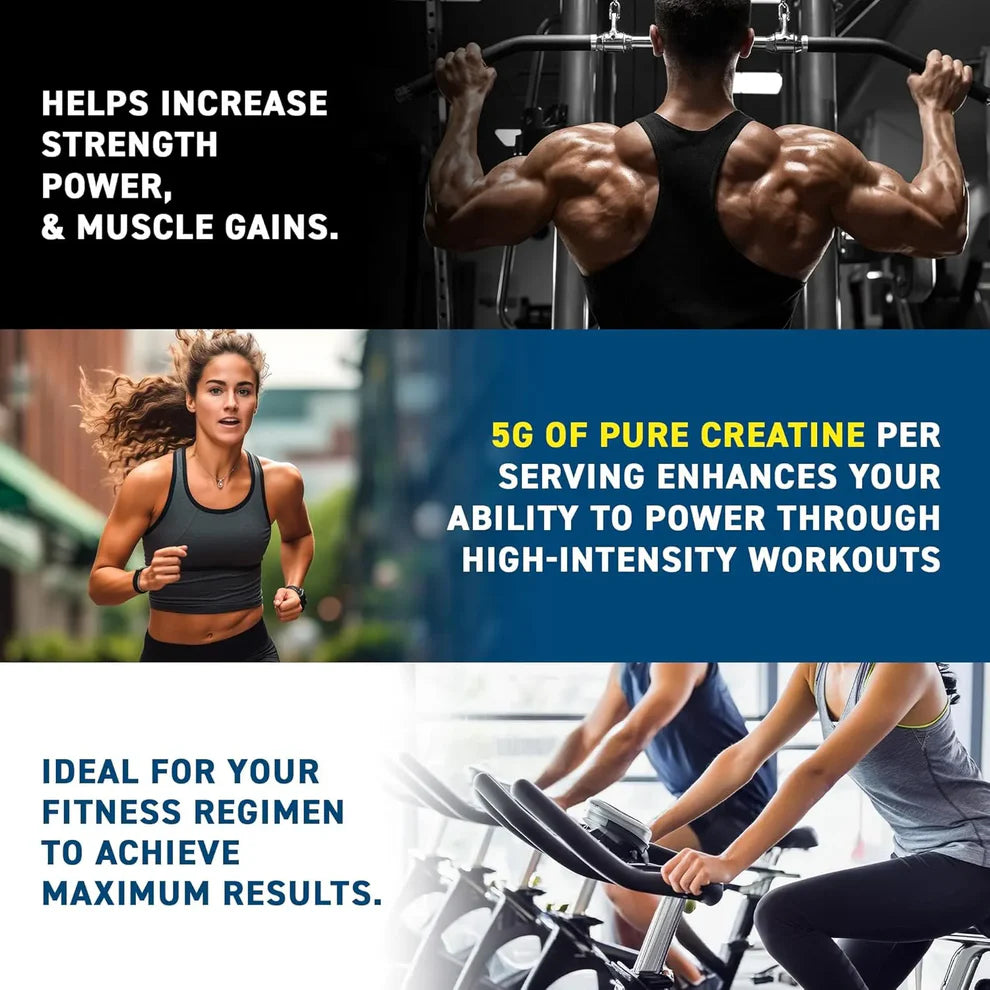 Applied Nutrition Creatine Monohydrate 250g (Choice of Flavours) - Evolution Supplements - Applied Nutrition Creatine Monohydrate 250g Banner 1