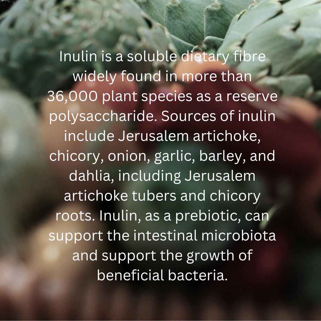 Essential Daily Probiotic Capsules+ Gut Support