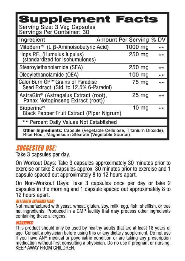 Lipo Vantage - 90 Caps