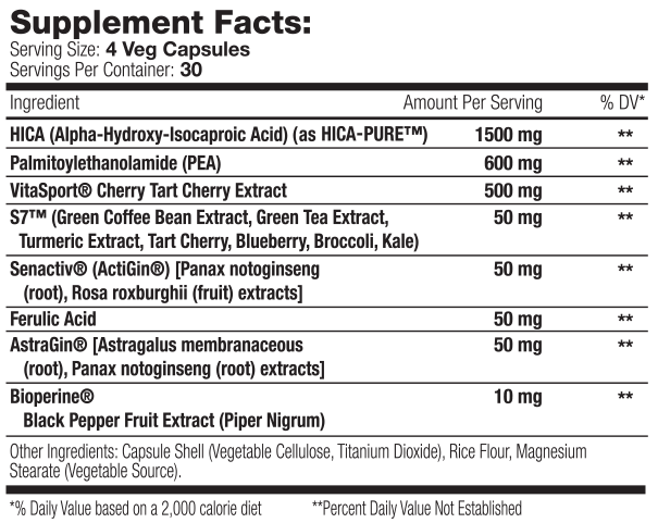 Muscle Addiction - Recovery Fix - 120 Caps